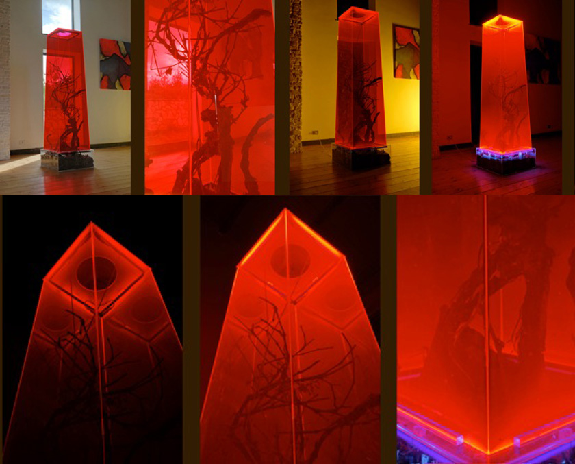 Scultura plexiglas e neon - opera di Maurizio Pio Rocchi - fotografato di giorno e di notte